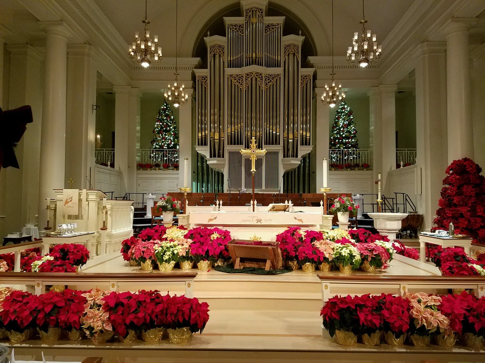Trinity Evangelical Lutheran Martin Ott organ